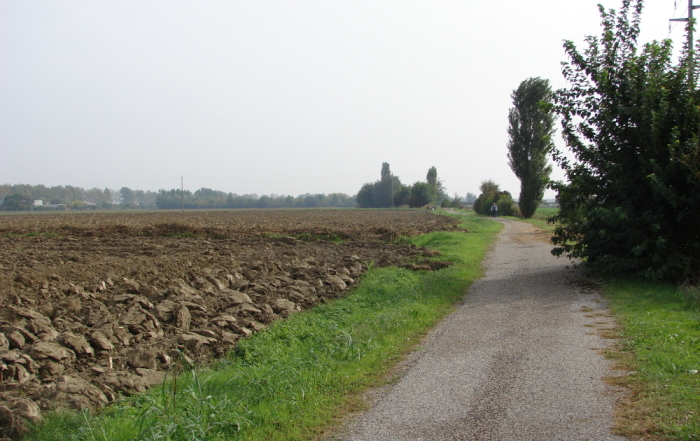 Pista ciclabile di fianco all'entrata dell'agriturismo Al Giuggiolo