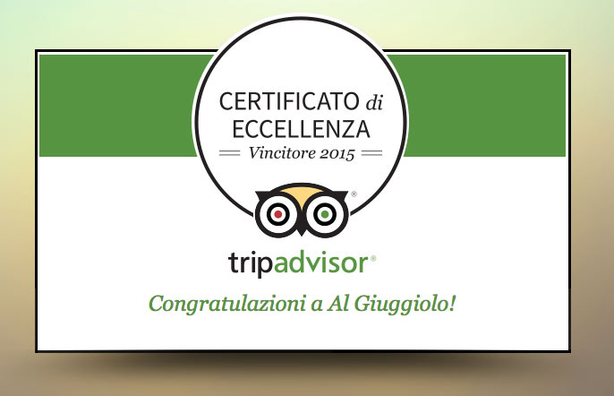 certificato eccellenza Tripadvisor 2015
