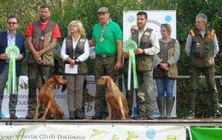 Cerimonia di Premiziazione Magyar Vizsla European Cuo 2019